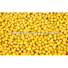 Yellow mung beans